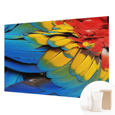 Modern fotobehang voor de woonkamer met een patroon van regenboogveren