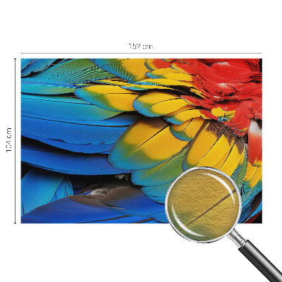 Modern fotobehang voor de woonkamer Regenboogveren