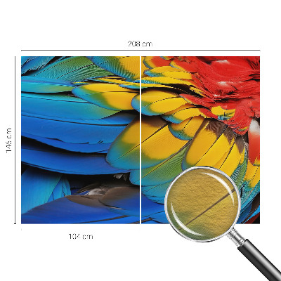 Modern fotobehang voor de woonkamer Regenboogveren