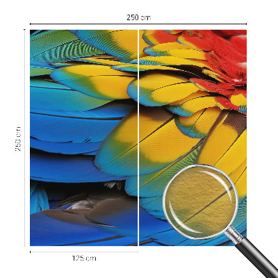 Modern fotobehang voor de woonkamer Regenboogveren