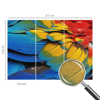 Modern fotobehang voor de woonkamer Regenboogveren