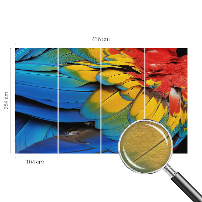 Modern fotobehang voor de woonkamer Regenboogveren