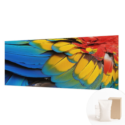 Modern fotobehang voor de woonkamer met een patroon van regenboogveren
