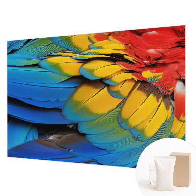 Modern fotobehang voor de woonkamer met een patroon van regenboogveren