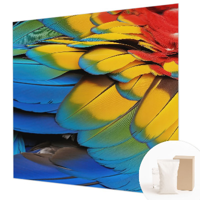 Modern fotobehang voor de woonkamer met een patroon van regenboogveren