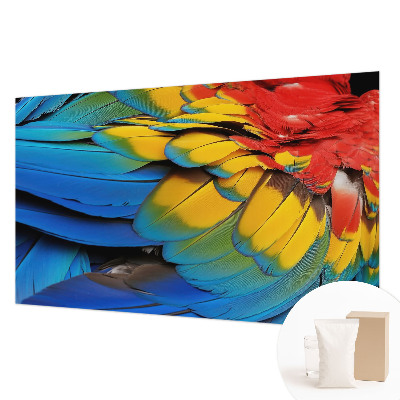 Modern fotobehang voor de woonkamer met een patroon van regenboogveren