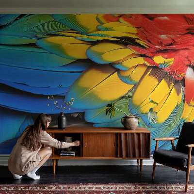 Modern fotobehang voor de woonkamer met een patroon van regenboogveren