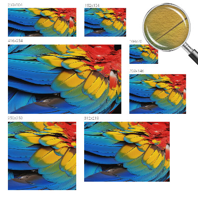 Modern fotobehang voor de woonkamer Regenboogveren