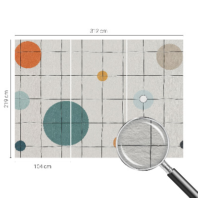 Fotobehang voor de woonkamer Gekleurde cirkels