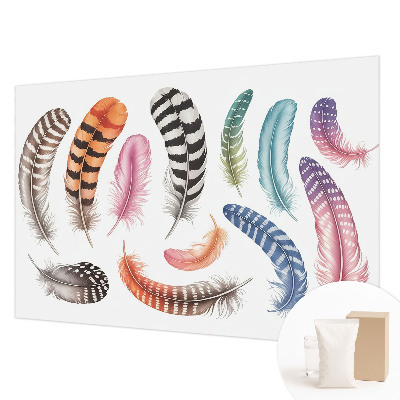 Vlies fotobehang met pastelkleurige veren