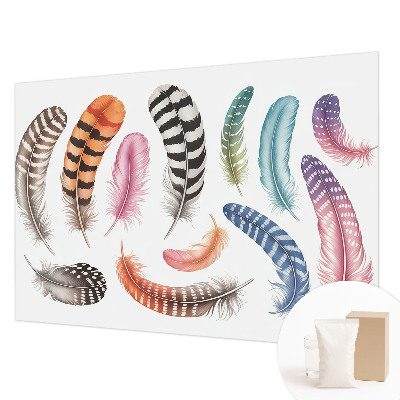 Vlies fotobehang met pastelkleurige veren