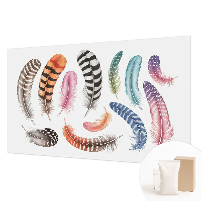Vlies fotobehang met pastelkleurige veren