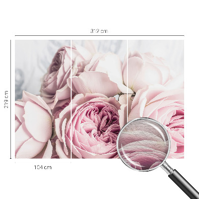 Fotobehang voor slaapkamer Roze rozen