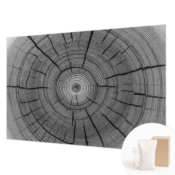 Modern fotobehang Bosharmonie