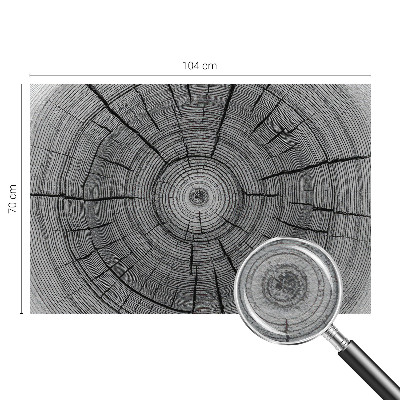 Modern fotobehang Bosharmonie