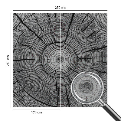 Modern fotobehang Bosharmonie