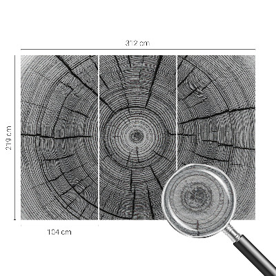 Modern fotobehang Bosharmonie