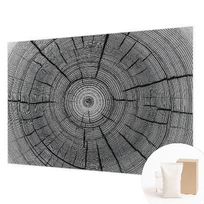 Modern fotobehang Bosharmonie