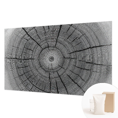 Modern fotobehang Bosharmonie