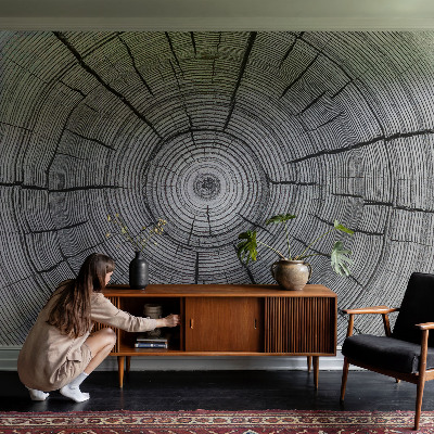 Modern fotobehang Bosharmonie