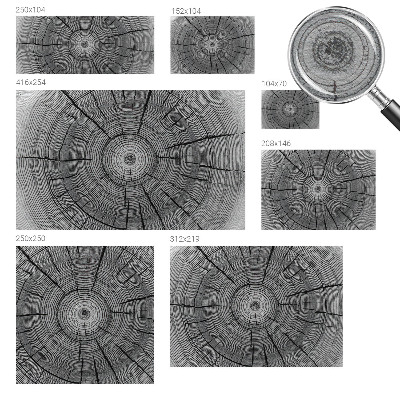 Modern fotobehang Bosharmonie
