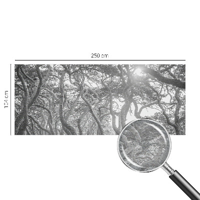 Fotobehang voor de woonkamer Atmosferisch bos