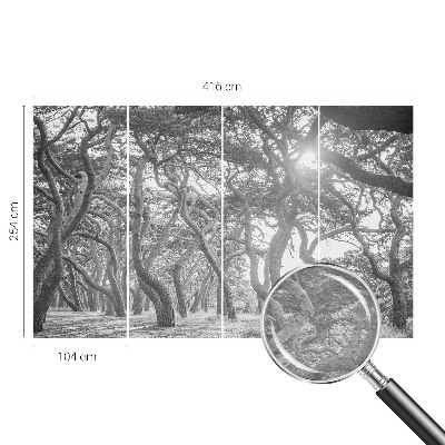 Fotobehang voor de woonkamer Atmosferisch bos