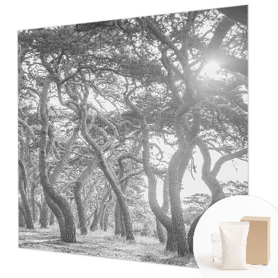 Fotobehang voor de woonkamer met een sfeervol bosmotief