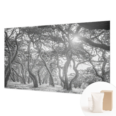 Fotobehang voor de woonkamer met een sfeervol bosmotief