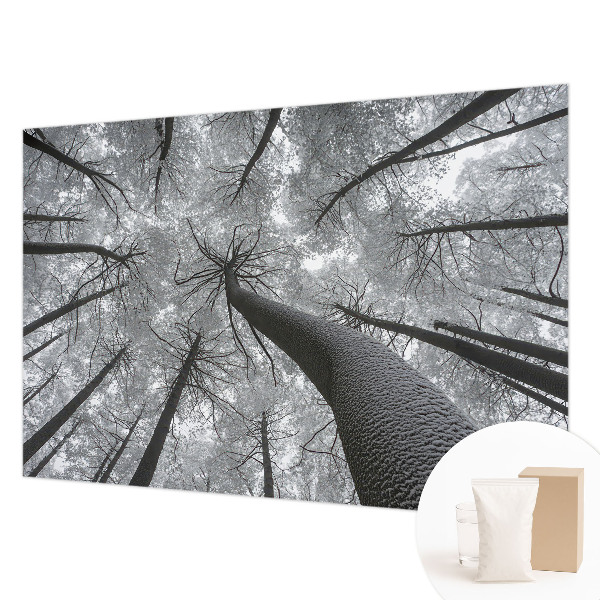 Premium fotobehang met een winterlandschap