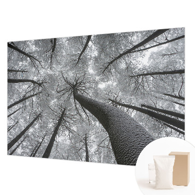 Premium fotobehang met een winterlandschap