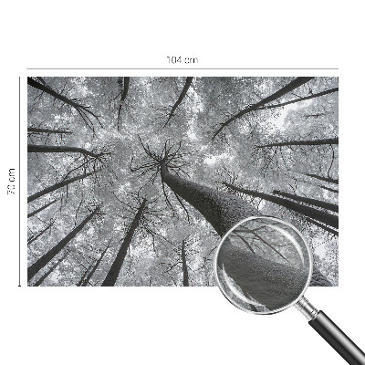 Premium fotobehang met een winterlandschap