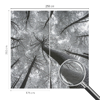 Premium fotobehang Winterlandschap