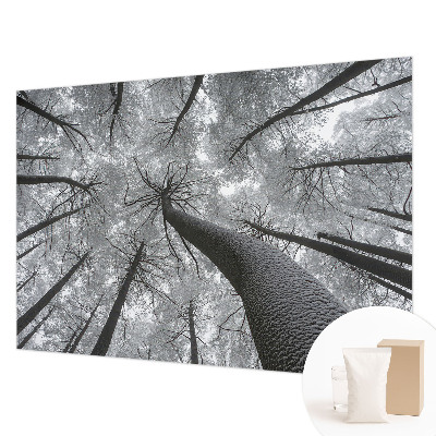 Premium fotobehang met een winterlandschap