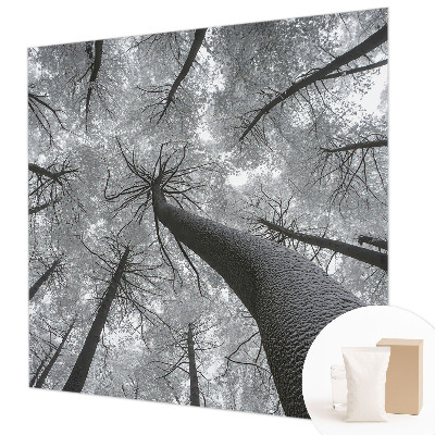 Premium fotobehang met een winterlandschap