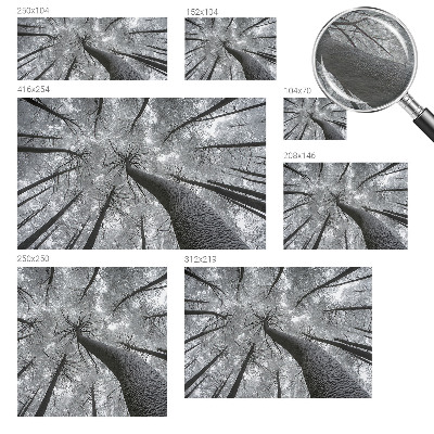 Premium fotobehang Winterlandschap