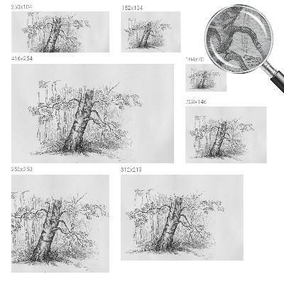 Vlies fotobehang Bosboom