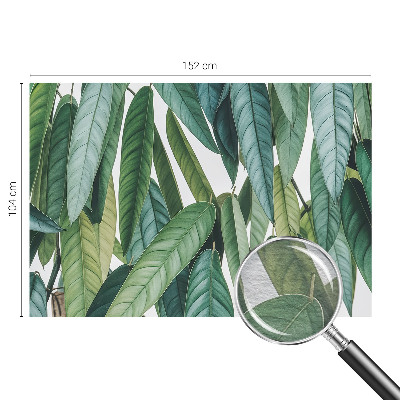 Vliesbehang fotobehang Natuurlijke bladeren