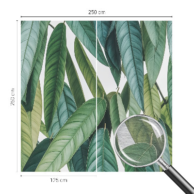 Vliesbehang fotobehang Natuurlijke bladeren