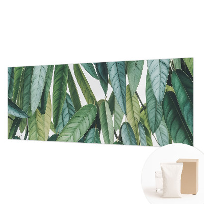 Vliesbehang fotobehang met een motief van natuurlijke bladeren