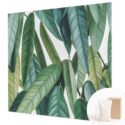 Vliesbehang fotobehang Natuurlijke bladeren