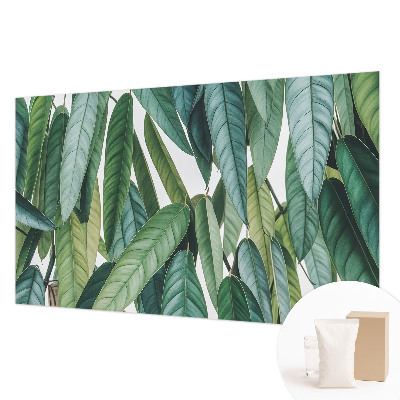 Vliesbehang fotobehang met een motief van natuurlijke bladeren