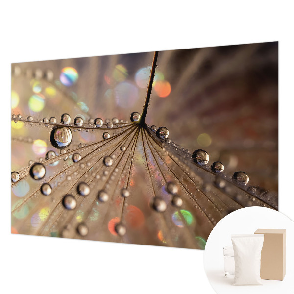 Fotobehang voor de slaapkamer Pareldruppels