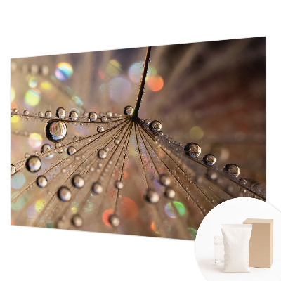 Fotobehang voor de slaapkamer Pareldruppels
