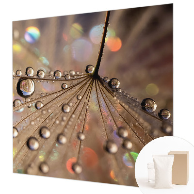 Fotobehang voor de slaapkamer Pareldruppels