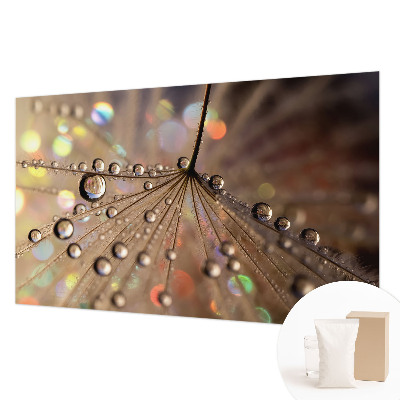Fotobehang voor de slaapkamer Pareldruppels