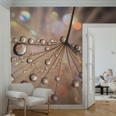 Fotobehang voor de slaapkamer Pareldruppels