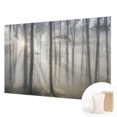 Hoogwaardig fotobehang met het motief 'Etherisch Woud'