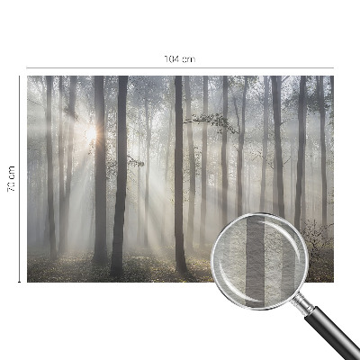 Hoogwaardig fotobehang met het motief 'Etherisch Woud'