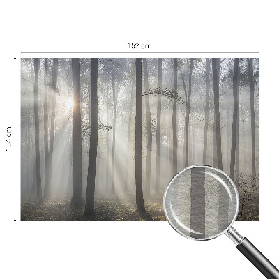 Hoogwaardig fotobehang Etherisch Woud